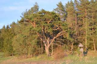 Дома для отпуска Oaza Mazurska - Domek z kominkiem Пецки-3